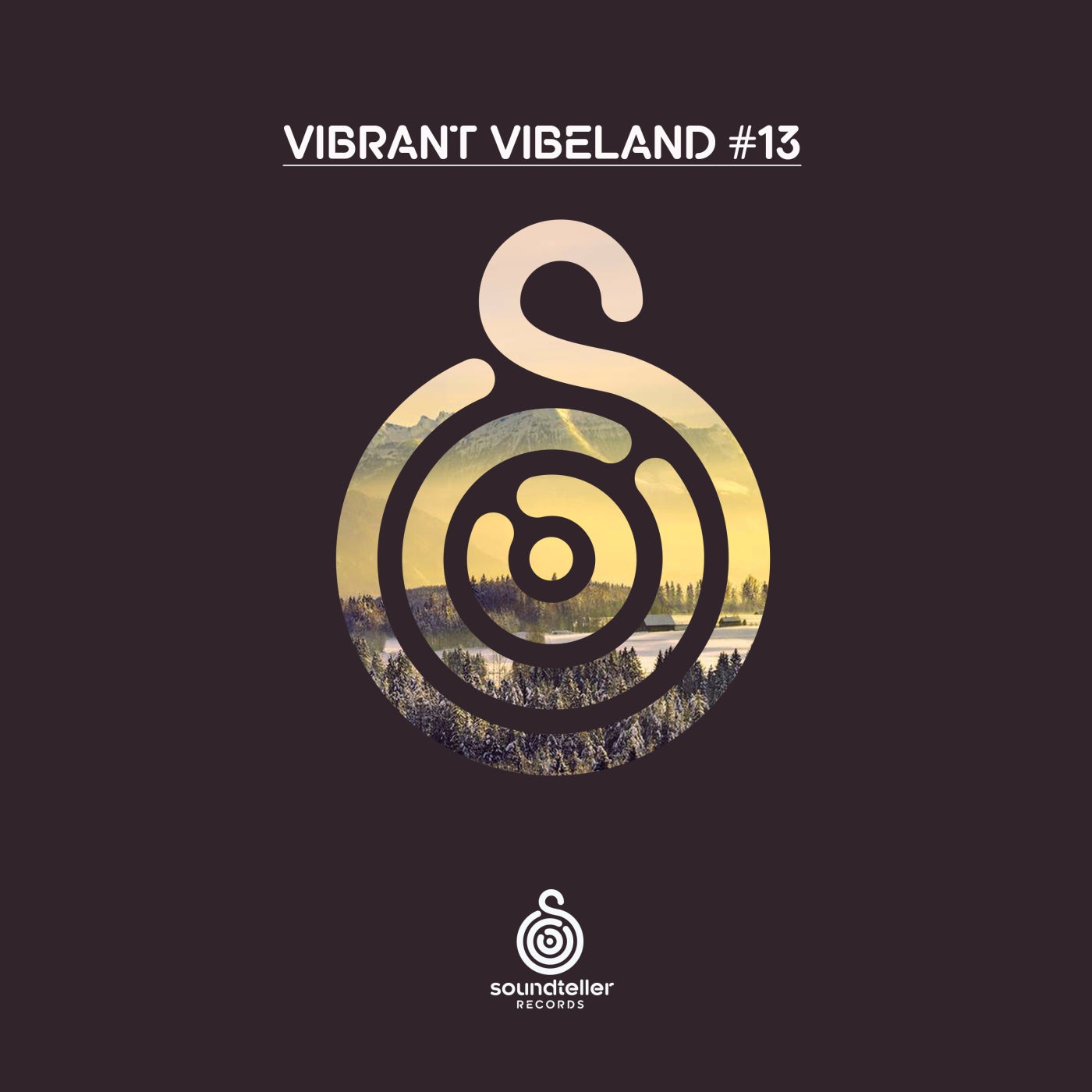 VA - Vibrant Vibeland #13 [ST289]